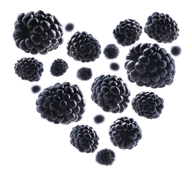 istock Blackberries in the shape of a heart on a white background 1296449471