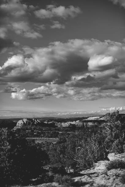 istock South West Desert Landscape Black and White 1296456211