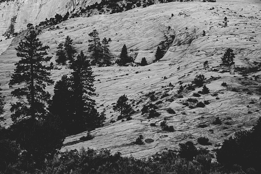 A collection of desert landscape scenes from the southern part of Utah and Northern Arizona state boarder. Edited to black and white in post processing.