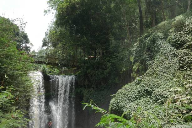 istock Waterfall nature in Djuanda National Park Bandung 1296457750