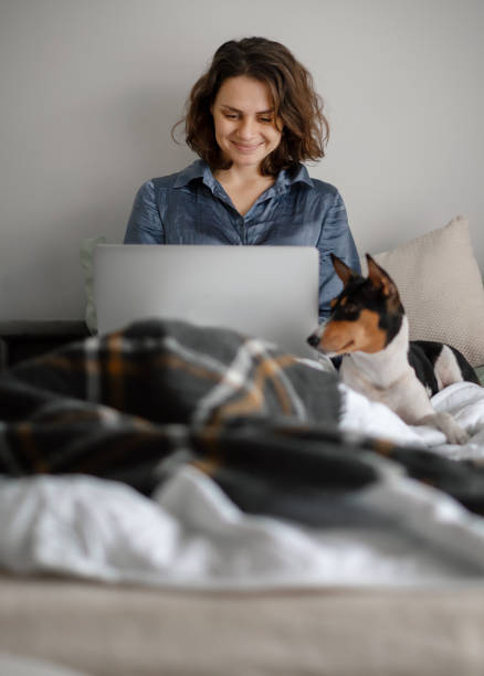 istock Beautiful young woman working at home using laptop with african terrier dog 1296460984