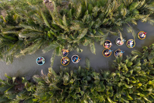 Aerial view, tourists in basket boats tour at the coconut water ( mangrove palm ) forest in Cam Thanh village, Hoi An, Quang Nam, Vietnam Aerial view, tourists in basket boats tour at the coconut water ( mangrove palm ) forest in Cam Thanh village, Hoi An, Quang Nam, Vietnam basket boat stock pictures, royalty-free photos & images