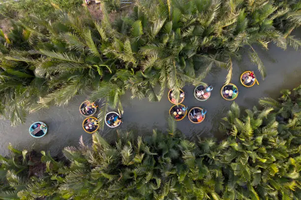 Aerial view, tourists in basket boats tour at the coconut water ( mangrove palm ) forest in Cam Thanh village, Hoi An, Quang Nam, Vietnam