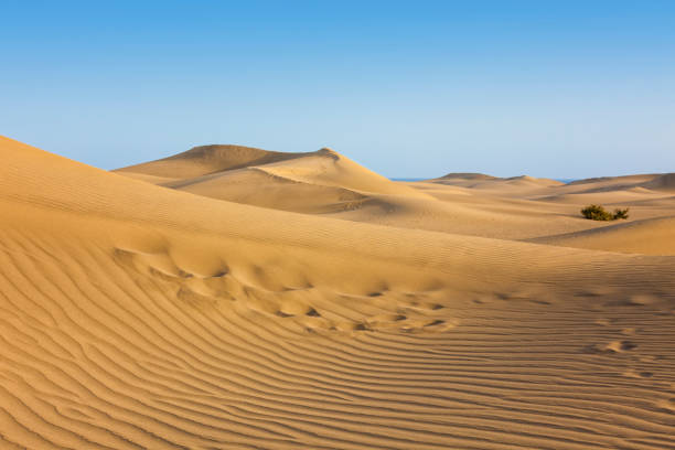 Dunes at Maspalomas, Grand Canary, Canary Islands