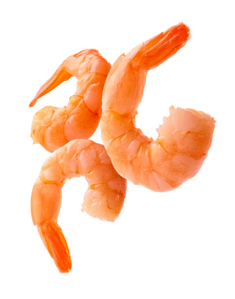 istock Boiled prawns levitate on a white background 1296466000