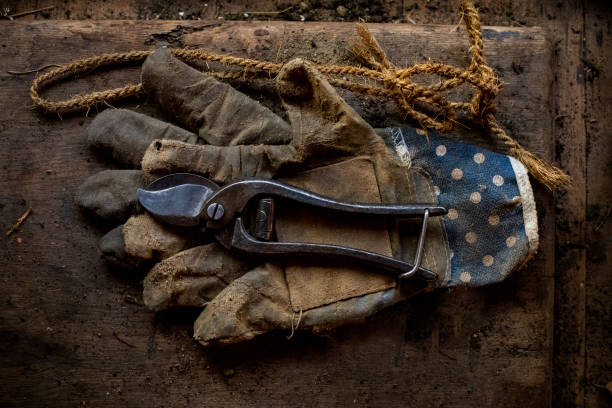 istock Well Worn Garden Gloves 1296466002