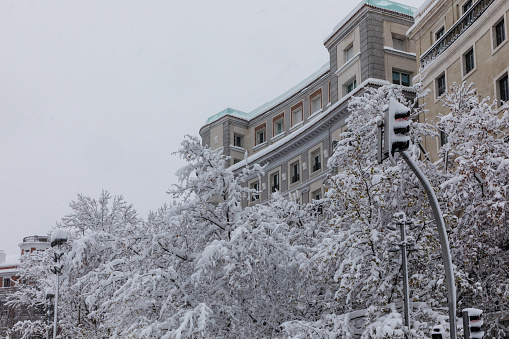 snowy gardens in the city of Madrid with the snowfall of January 2021