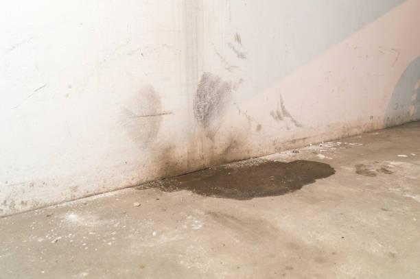 danni causati dall'acqua nel seminterrato causati da scarichi sanitari. - leaky basement foto e immagini stock