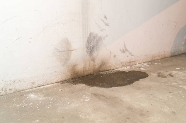 istock Water damage in basement caused by sanitary drain. 1296470638