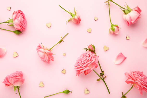 istock Bright pink roses on pink background. Spring concept 1296473501
