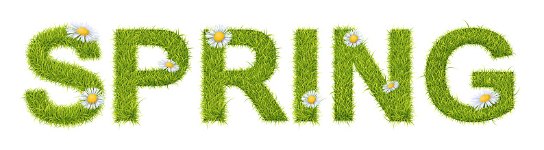 Spring. Vector Realistic Eco Style Header Template. Green Grass Letters With Flowers For Seasonal Flyers, Banners And Labels