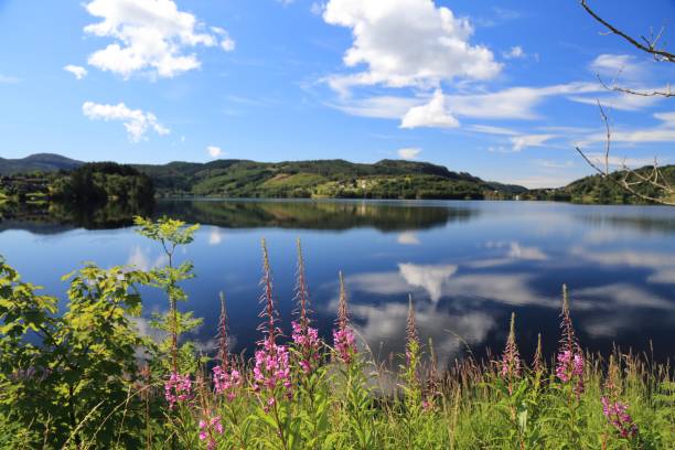 istock Kalandsvatnet lake near Bergen, Norway 1296476043