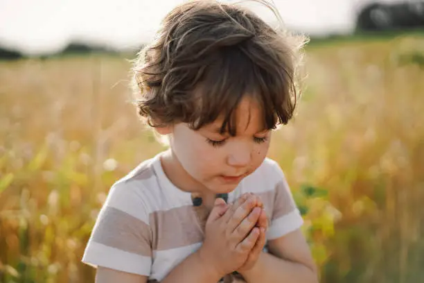 Photo of Little Boy closed her eyes, praying in a field wheat. Hands folded in prayer.