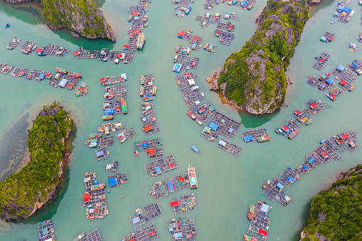 Aerial view of Floating fishing village in Lan Ha Bay, Vietnam. UNESCO World Heritage Site. Near Ha Long bay
