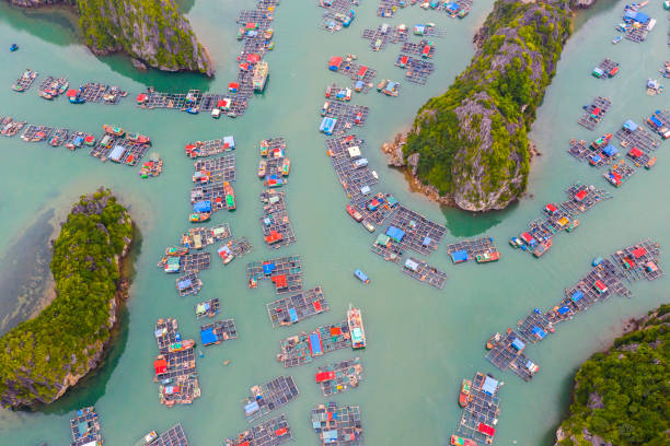 widok z lotu ptaka pływającej wioski rybackiej w lan ha bay, wietnam. wpisane na listę światowego dziedzictwa unesco. w pobliżu ha long bay - halong bay vietnam bay cruise zdjęcia i obrazy z banku zdjęć