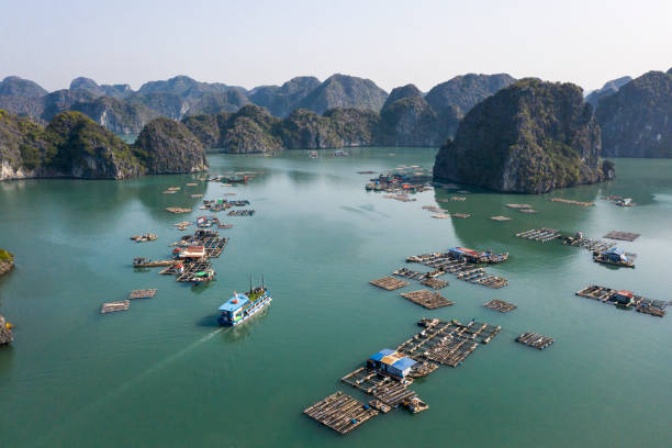 Aerial view of Floating fishing village in Lan Ha Bay, Vietnam. UNESCO World Heritage Site. Near Ha Long bay Aerial view of Floating fishing village in Lan Ha Bay, Vietnam. UNESCO World Heritage Site. Near Ha Long bay haiphong province photos stock pictures, royalty-free photos & images