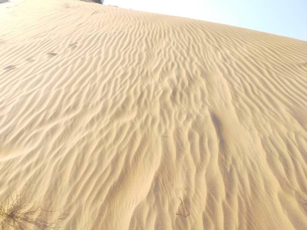 istock Sand waves on the sand dunes of Rajasthan 1296485389