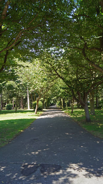 istock Lowestoft Naval Memorial and Bellevue Park 1296488017