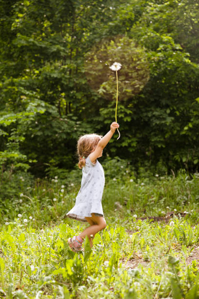 istock Child blows on dandelion in nature. summertime 1296489999