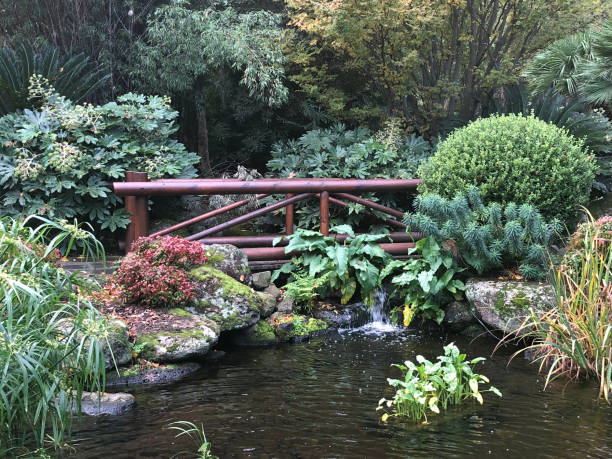 정원에서 연못 을 통해 나무 다리 - bridge wood japanese garden footbridge 뉴스 사진 이미지