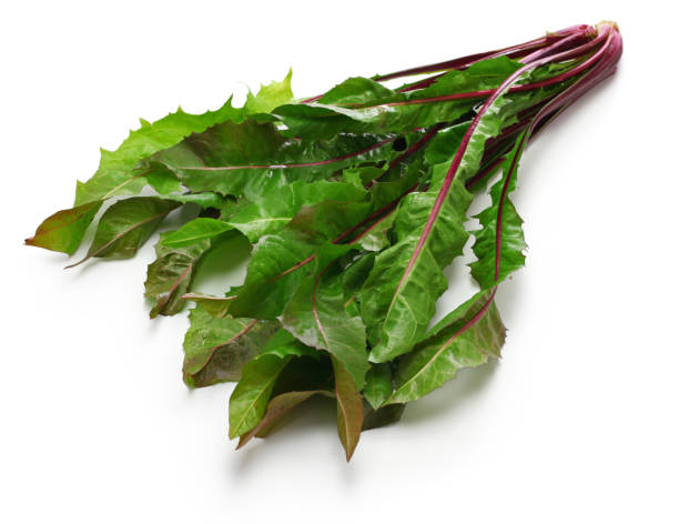 istock red dandelion, italiko rosse, italian leaf chicory 1296495131