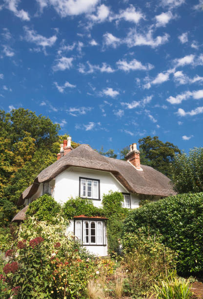 paja cottage inglaterra, reino unido - tudor style house residential structure cottage fotografías e imágenes de stock