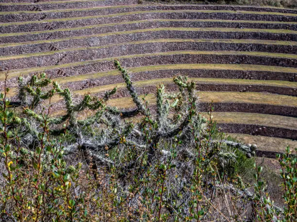 Photo of Moray, Incas ruins