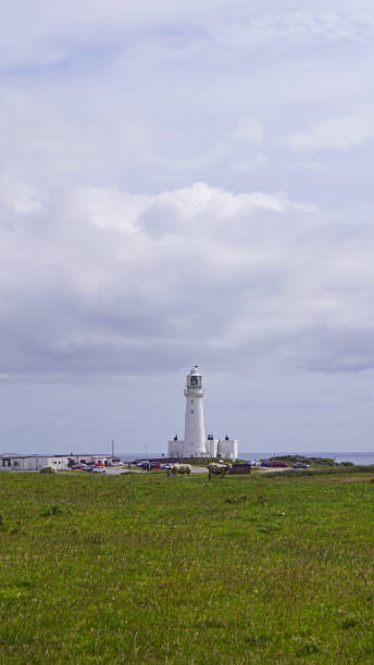istock Chalk Tower Flamborough Head 1296506634