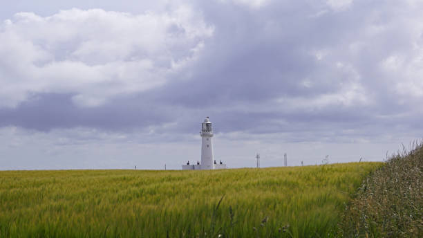istock Chalk Tower Flamborough Head 1296506720