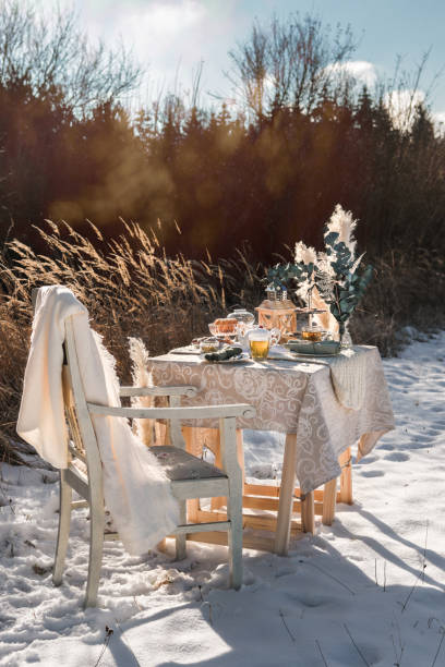 Romantic Winter Tea Time Table Outdoors on sunny field