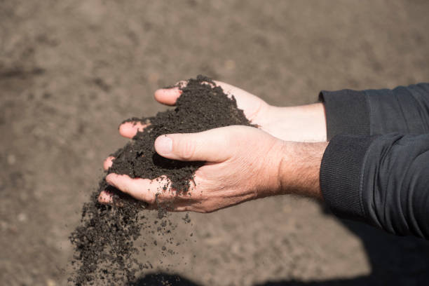 istock holding soil and humus in hand 1296509564