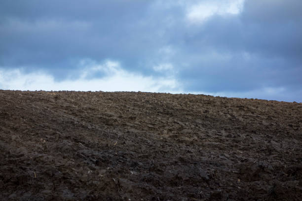 soil on a field in agriculture, usable land and arable farming