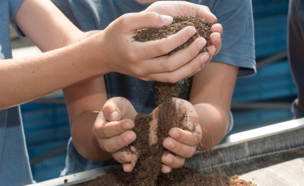 istock holding soil and humus in hand 1296510433