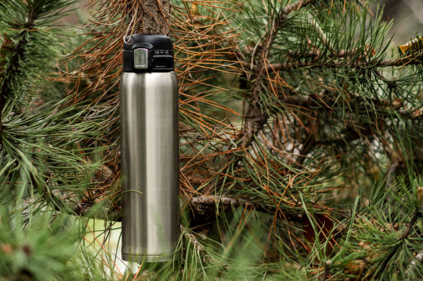 istock Thermo bottle for hot and cold drinks. Thermos for tea and coffee. Spruce tree. 1296511792