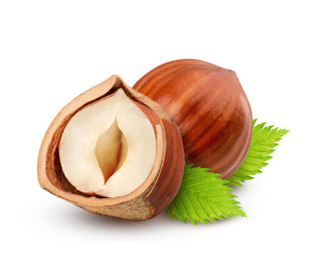 istock Hazelnuts with leaves isolated on white background 1296513159