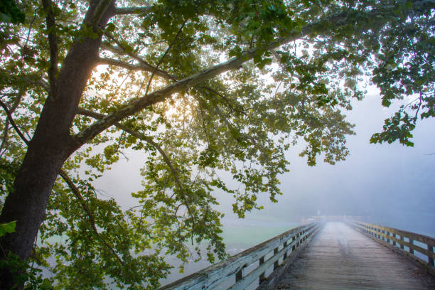 Wooden one-lane bridge over the New River, Ashe County, North Carolina An old wooden one-lane bridge over the New River with wooden railing and signs in morning mist and fog, Ashe County, northwestern NC high country stock pictures, royalty-free photos & images