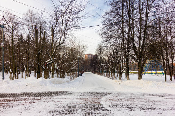 istock Winter landscape on a frosty day 1296514504