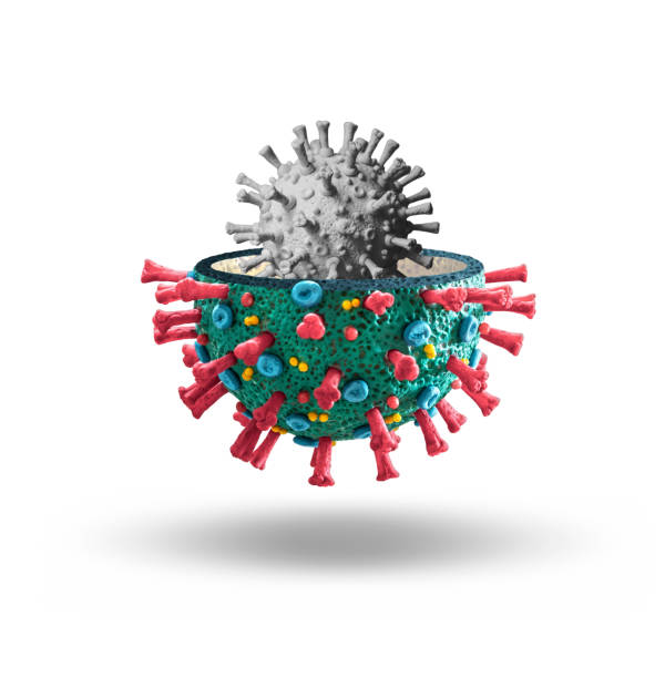 istock COVID-19 Corona Virus with new mutation inside 1296516841