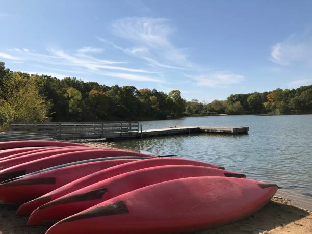 istock Herrick Lake Forest Preserve 1296529928