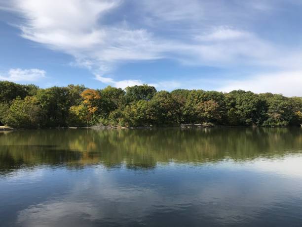 istock Herrick Lake Forest Preserve 1296529935