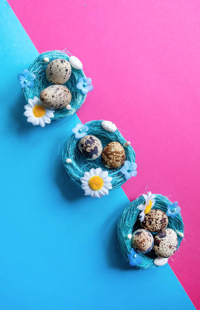 Multi-colored pink and blue background with quail eggs in a basket. Easter card. Space for text Multi-colored pink and blue background with quail eggs in a basket. Easter card. Space for text multi medal stock pictures, royalty-free photos & images