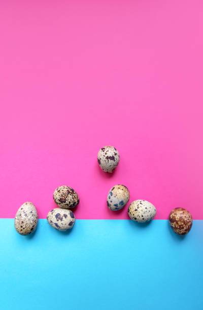 Multi-colored pink and blue background with quail eggs in a basket. Easter card. Space for text Multi-colored pink and blue background with quail eggs in a basket. Easter card. Space for text multi medal stock pictures, royalty-free photos & images