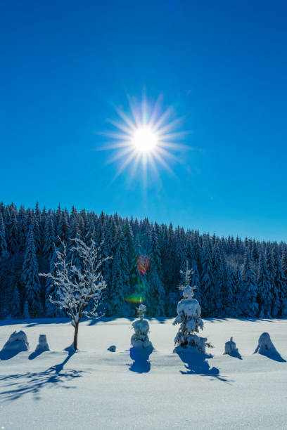 winter in the Karkonosze (Krkonoše, Giant Mountains) mountains