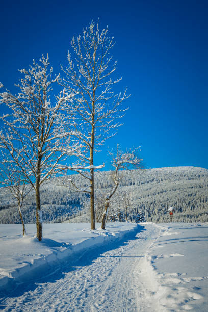 istock beautiful snowy winter mountain landscape 1296531415