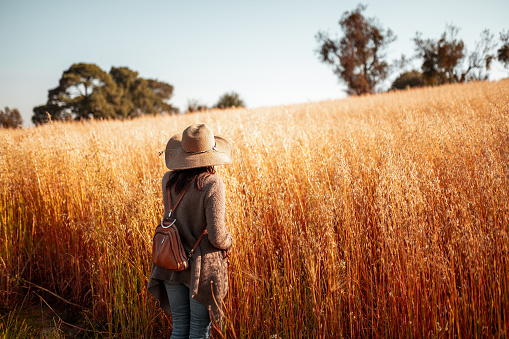 Young woman walking through a wheat field