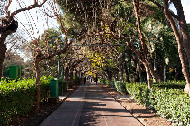 istock people doing sports on the jogging path 1296542357