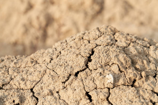 istock Loose sand beige in desert. 1296542537