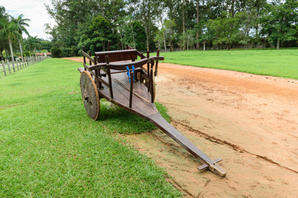 istock Old cattle cart stopped on the lawn. 1296543683
