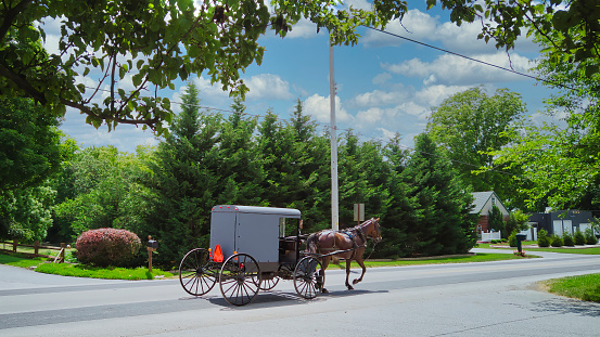 An Amish Horse and Buggy Traveling along a Countryside Road on a Beautiful Summer Day