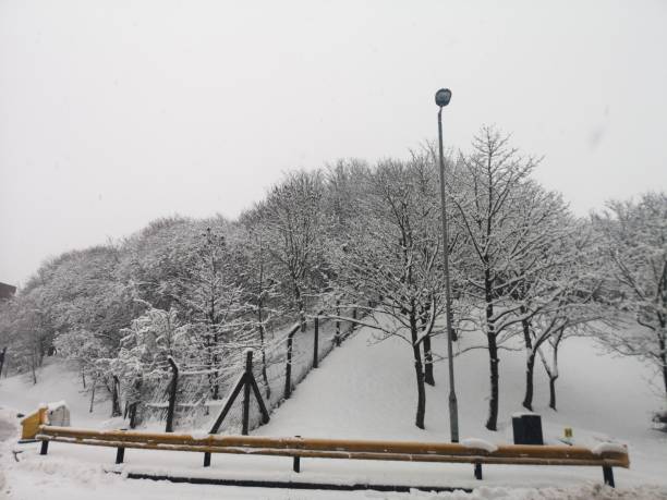istock Beauty of snow 1296550470